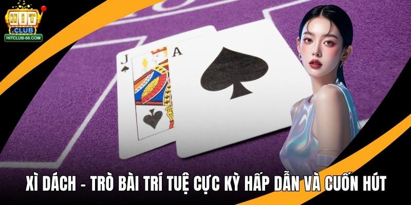 Xì Dách - Trò Bài Trí Tuệ Cực Kỳ Hấp Dẫn Và Cuốn Hút